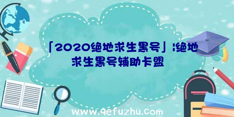 「2020绝地求生黑号」|绝地求生黑号辅助卡盟